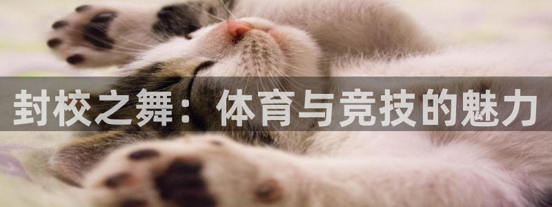 ug环球官网