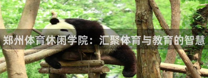 ug环球官网