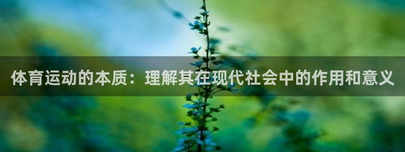 ug环球官网注册：体育运动的本质：理解其在现代社会中的作用和意义