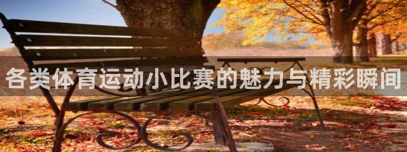 ug环球官网注册：各类体育运动小比赛的魅力与精彩瞬间