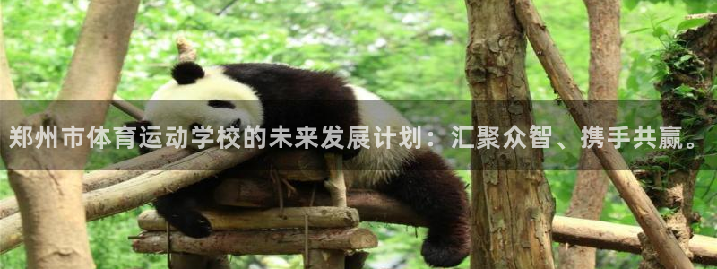 ug环球官网注册：郑州市体育运动学校的未来发展计划：汇聚众智、携手共赢。