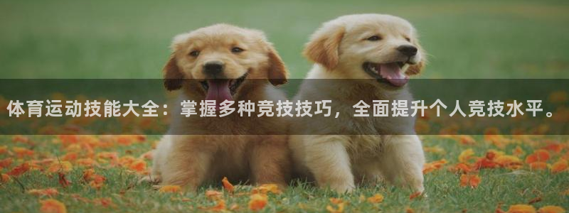 菲律宾ug环球官网：体育运动技能大全：掌握多种竞技技巧，全面提升个人竞技水平。
